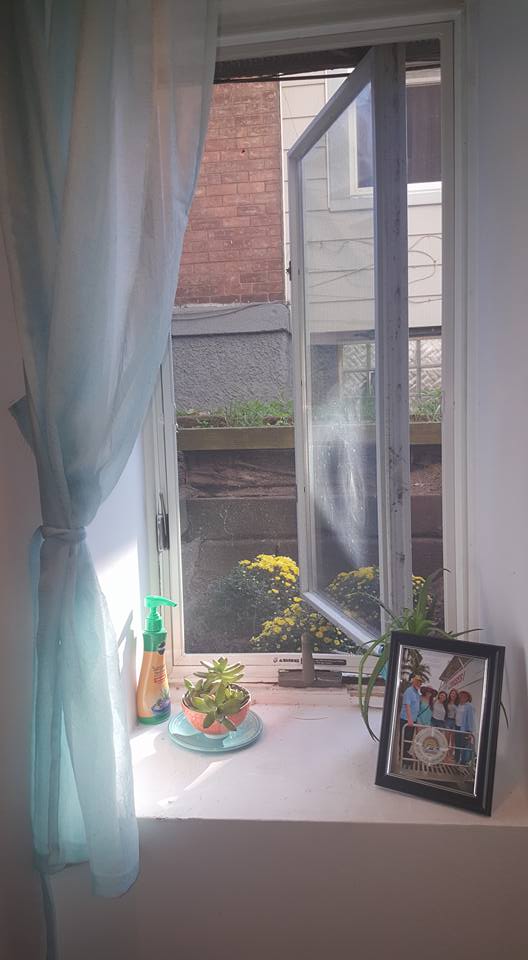 AFTER. Windows transformed with mums planted outside and sheer curtains.
